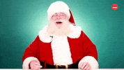Santa Claus Christmas GIF by BuzzFeed