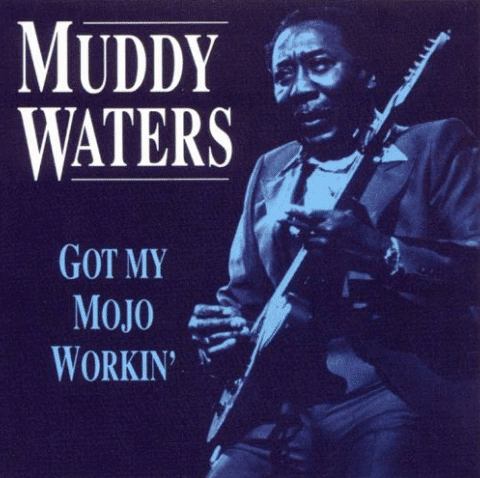 chicago blues GIF by Muddy Waters