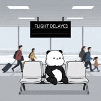 Cute Panda Cartoon Style GIF by Kanpai Pandas