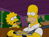 homer simpson GIF