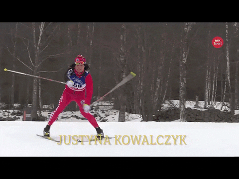 seconds skier GIF