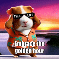 GIF by Guinea Gambino