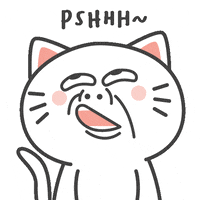 Kiki Cat GIF by KIKI