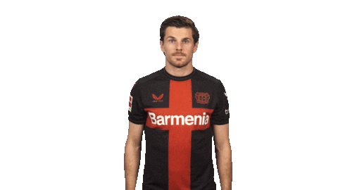 Bayer Leverkusen Sticker by Bundesliga