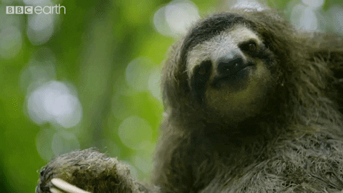 monday eat GIF by BBC Earth
