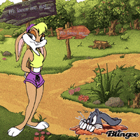 bugs GIF