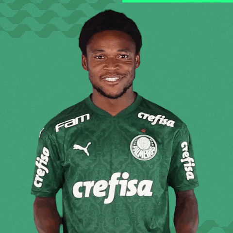 Adriano Luiz GIF by SE Palmeiras