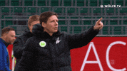 Well Done Thumbs Up GIF by VfL Wolfsburg
