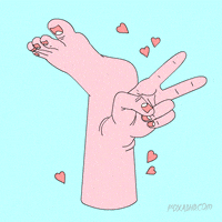 china fox GIF by Animation Domination High-Def