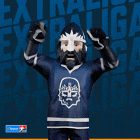 Hockey Hokej GIF by Tipsport extraliga
