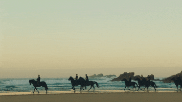 Galego GIF by Vivamos como galegos