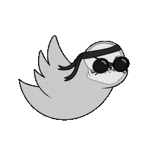 Fun Flying Sticker by Sappy Seals Community