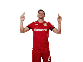 Swipe Up Bayer 04 Sticker by Bayer 04 Leverkusen