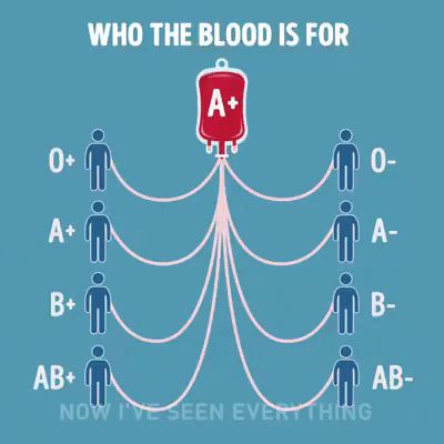 arcangelociscococco giphyupload GIF
