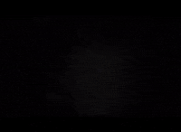 GIF by WIESEMANN 1893