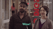 GIF by Strays