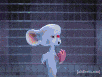 night brains GIF