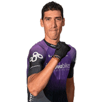 Team Bikes Sticker by INNOVABIKES