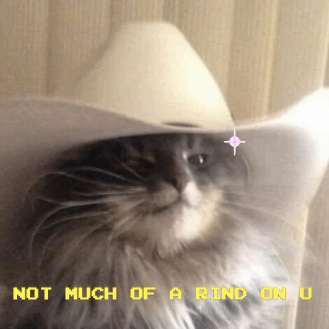west world cowboy cat GIF by Romy
