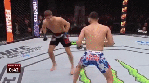 Combat_Sports_Fan giphygifmaker GIF