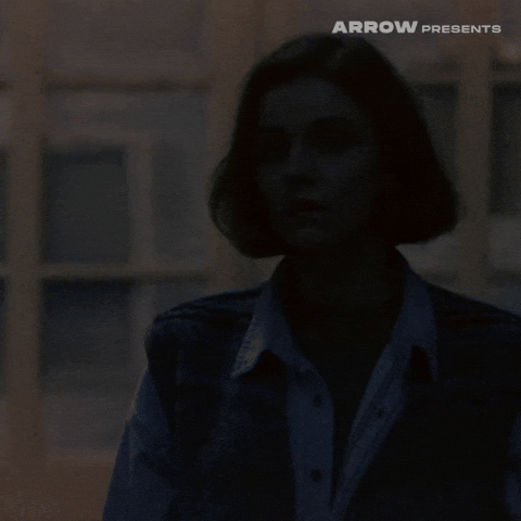 Film Horror GIF by Arrow Video