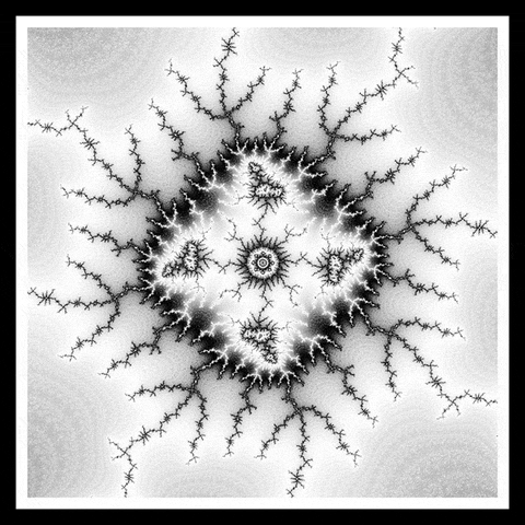 Loop Nft GIF by xponentialdesign