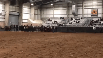 horse cowboy GIF
