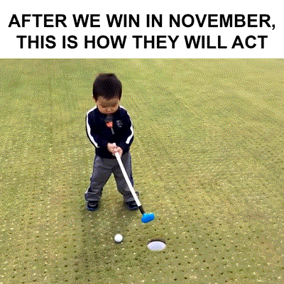 Video gif. Toddler playing miniature golf attempts to putt a ball into a nearby hole. The ball rolls past the hole, and the toddler reacts by jumping up and down, throwing the putter in the air, screaming, then throwing himself to the ground and writhing around in defeat. Text, “After we win in November, this is how they will act.”