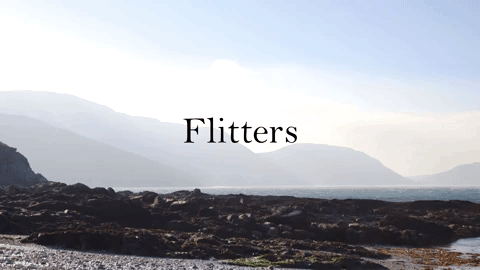 manx limpet GIF