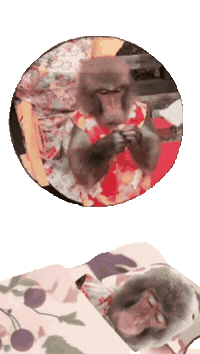 Good Night Fun Sticker