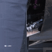 Sport Wheel GIF by FIA World Rally Championship