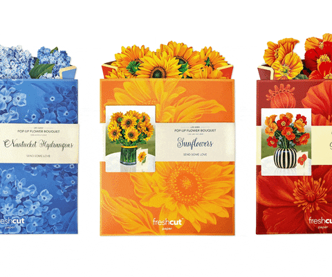 FreshCutPaper giphyupload flowers mail sunflowers GIF