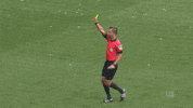 bundesliga referee GIF by SV Werder Bremen