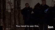 Onechicago Chicagopd GIF by ION