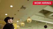 Restaurant Now Hiring GIF by Mary's Pizza Shack