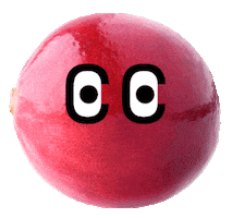 Berry Berries Sticker by BerryWorld