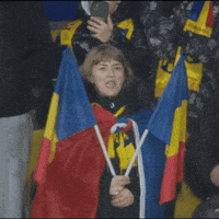Fan Romania GIF