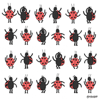 Animation Domination Fox GIF by gifnews