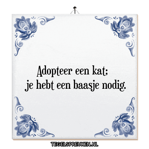 Kat Geluk Sticker by Tegelspreuken.nl