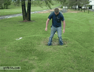 oo GIF