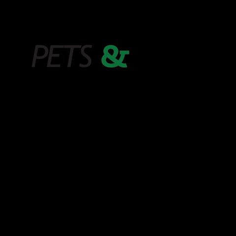 VetOeste giphyupload pets saúde veterinaria GIF