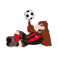 Eintracht Frankfurt Football Sticker by Tonsser