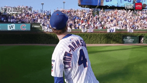 Chicago Cubs Sport GIF by MLB