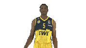 Sears Sticker by EWE Baskets Oldenburg
