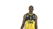 Ewe Baskets Basketball Sticker by EWE Baskets Oldenburg