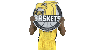 Ewe Baskets Basketball Sticker by EWE Baskets Oldenburg