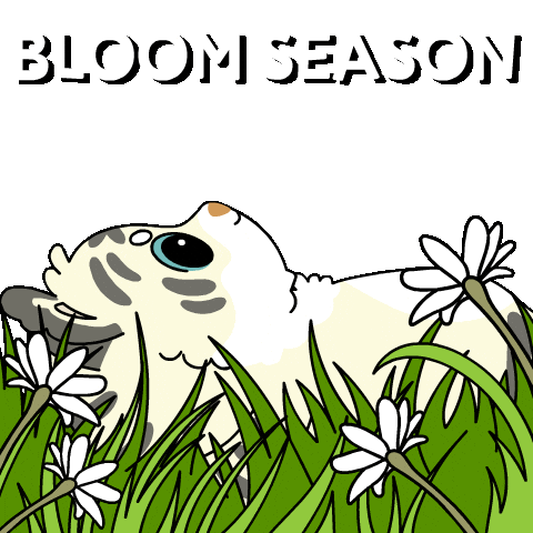 Bitcoin Spring Sticker by Ordinary Frends