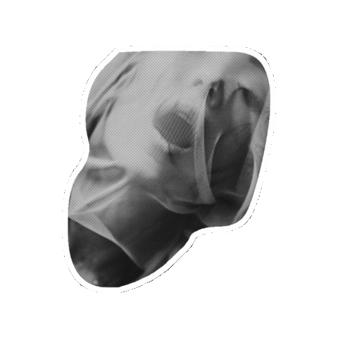 butterflyclub giphygifmaker halloween ghost spooky Sticker