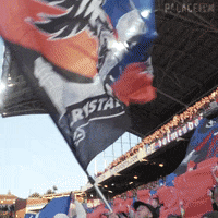 Premier League Football GIF by CPFC