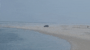 Satisfying Sea Wall GIF by No Cheese Records